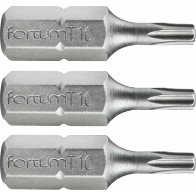 Fortum T10x25 mm 3 ks 4741410