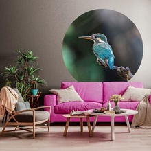 WallArt Kruhová tapeta The Kingfisher rozměr 142,5 cm