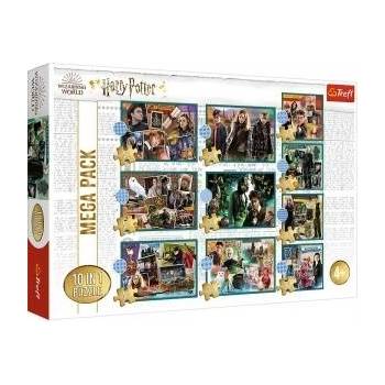 Trefl Puzzle 10in1 Harry Potter In the world of Harry Potter 90392