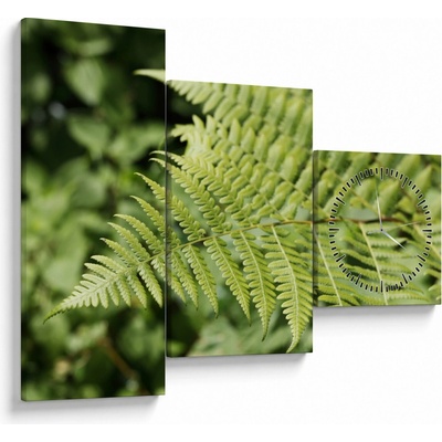 Obraz - Kapradinový list (s hodinami), třídílný 90x70 cm s hodinami – Hledejceny.cz
