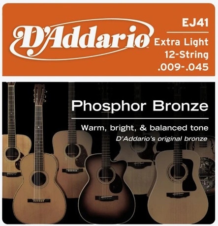 D'Addario EJ41 12-string Extra Light