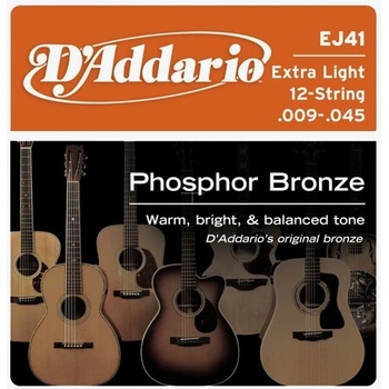 D'Addario EJ41 12-string Extra Light