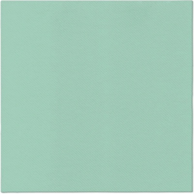PAW Obrúsky Airlaid Monocolor mint 40x40cm