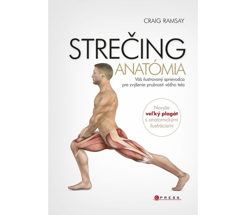 Strečing - anatómia - Ramsay Craig