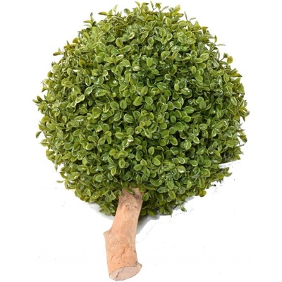 BUXUS KOULE STK, 26cm