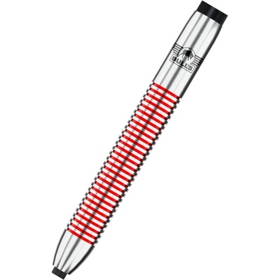 Bull's NL Steel Chris Landman - 21g