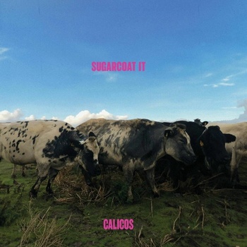 Calicos - SUGARCOAT IT CD
