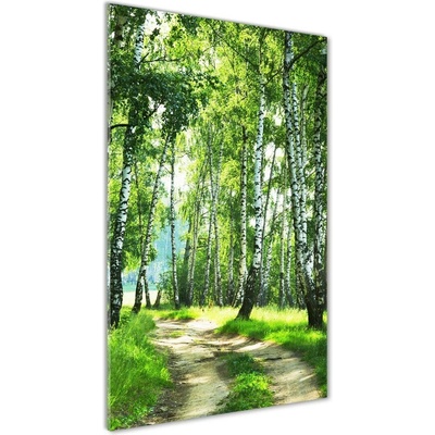 Vertikálny foto obraz sklenený Brezový les 50x100 cm