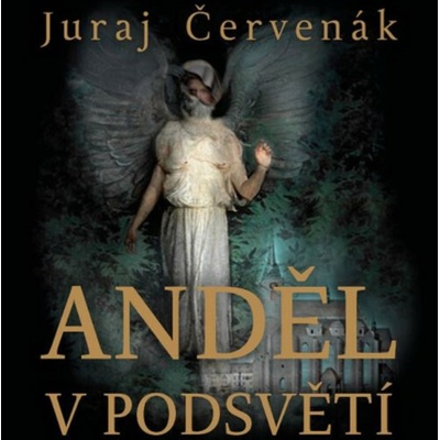 Anděl v podsvětí - Juraj Červenák