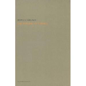 Feeling of Things | ADAM CARUSO (ISBN: 9788434311862)