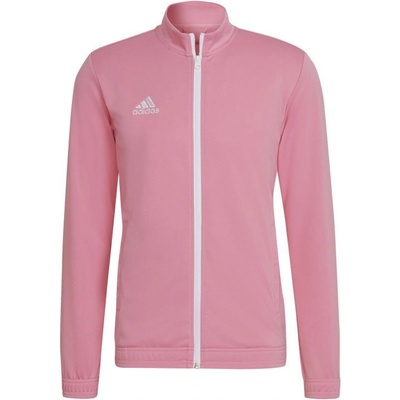 adidas Entrada 22 M HC5084