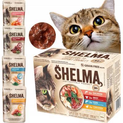 Shelma Cat kuřecí hovězí losos treska 12 x 85 g