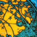 Strokes - Is This It