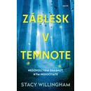 Záblesk v temnote - Stacy Willingham