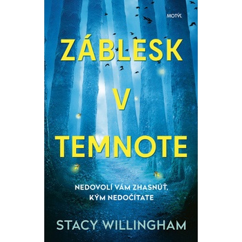Záblesk v temnote - Stacy Willingham