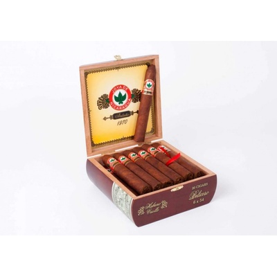 Joya de Nicaragua Antaño 1970 Belicoso Box 20 ks