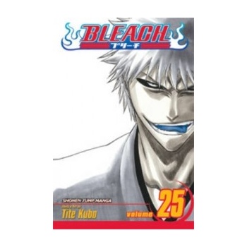 Bleach Kubo Tite