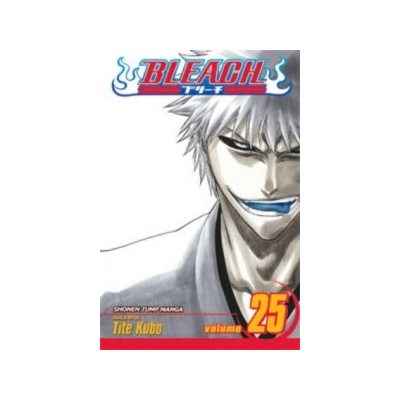 Bleach Kubo Tite