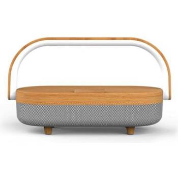 Stablecam PE_1DJ6479D