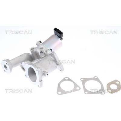 AGR - Ventil TRISCAN 8813 24101