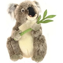 Koala 30 cm