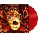 Insanity - Darkane LP