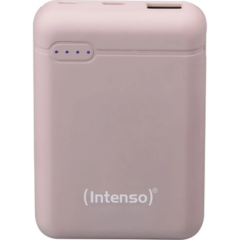 Intenso 7313533