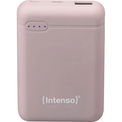 Intenso 7313533