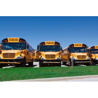 DIMEX ART Флизелинов фототапет редица училищни автобуси 375 x 250 см