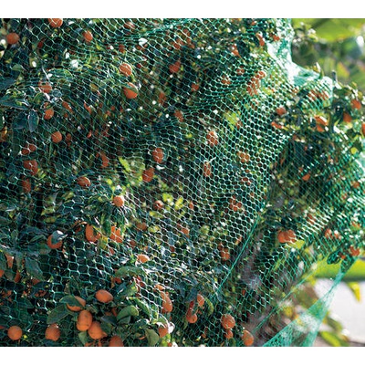 Nortene Мрежа срещу птици birdnet 120005