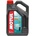 Motul Marine Outboard Tech 2T 5 l