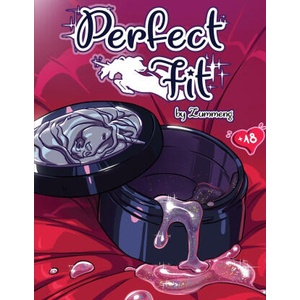 Perfect Fit (ISBN: 9781614507048)