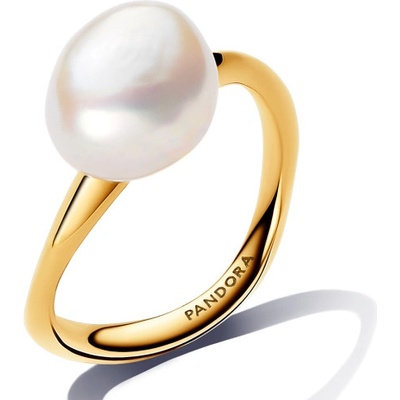 Pandora 163293C01