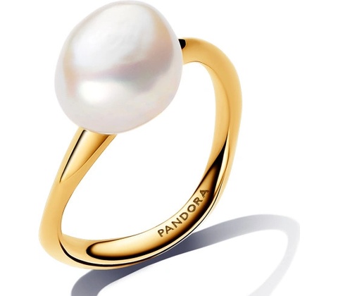 Pandora 163293C01