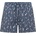 K-Way Мъжки бански слипове K-Way Hazel Graphic Beach Swim brief - Graphic Surf and Stripes (050-2433-0411)