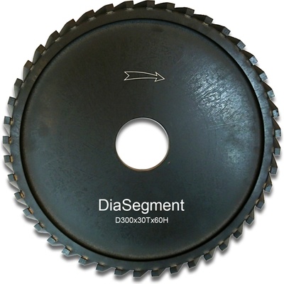 DiaSegment Formátovací kotouč, 300 x 30 mm