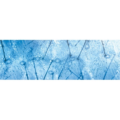 Dimex KI180-127 Fototapeta do kuchyně Dandelions rozměry 180 x 60 cm
