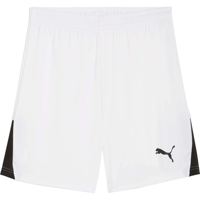 PUMA Teamliga 26 shorts l