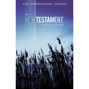 NIV, Outreach New Testament, Large Print, Paperback | Zondervan (ISBN: 9780310446439)