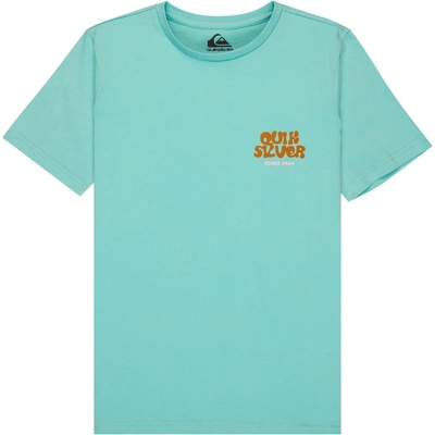 Quiksilver Детска тениска Quiksilver Kid's Fruits Tide S/S T-shirt - Blue Haze - размер 16 (US) (704-6115-0115)