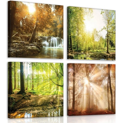 Postershop Obraz na plátně: Výhledy do lesa (1) - set 4ks 25x25cm