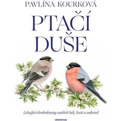 Ptačí duše Mladá fronta