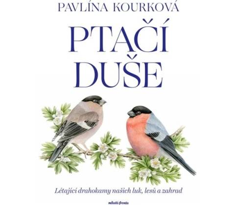Ptačí duše Mladá fronta