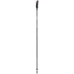 LEKI Carbon 12 3D