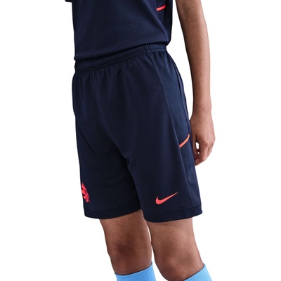 Nike Dri-FIT Erling Haaland Academy Short Kids hv0213-498