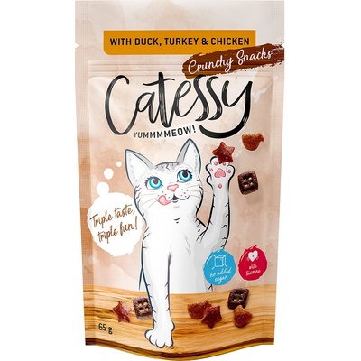 Catessy tri druhy syra 15 x 65 g