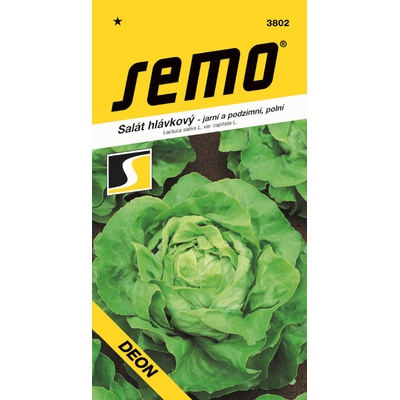 ŠALÁT HLÁVKOVÝ jarný a jesenný Deon