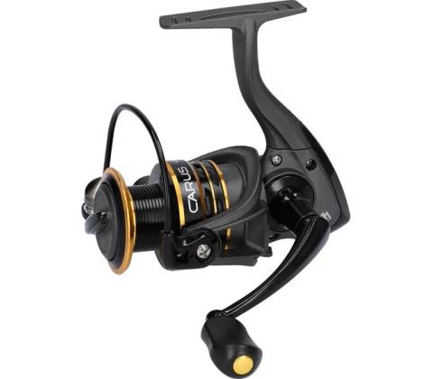 Mikado Carus FD 3006
