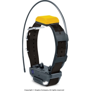 Dogtra Pathfinder 2