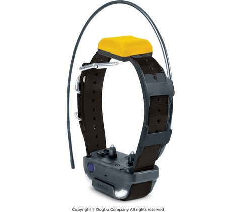 Dogtra Pathfinder 2